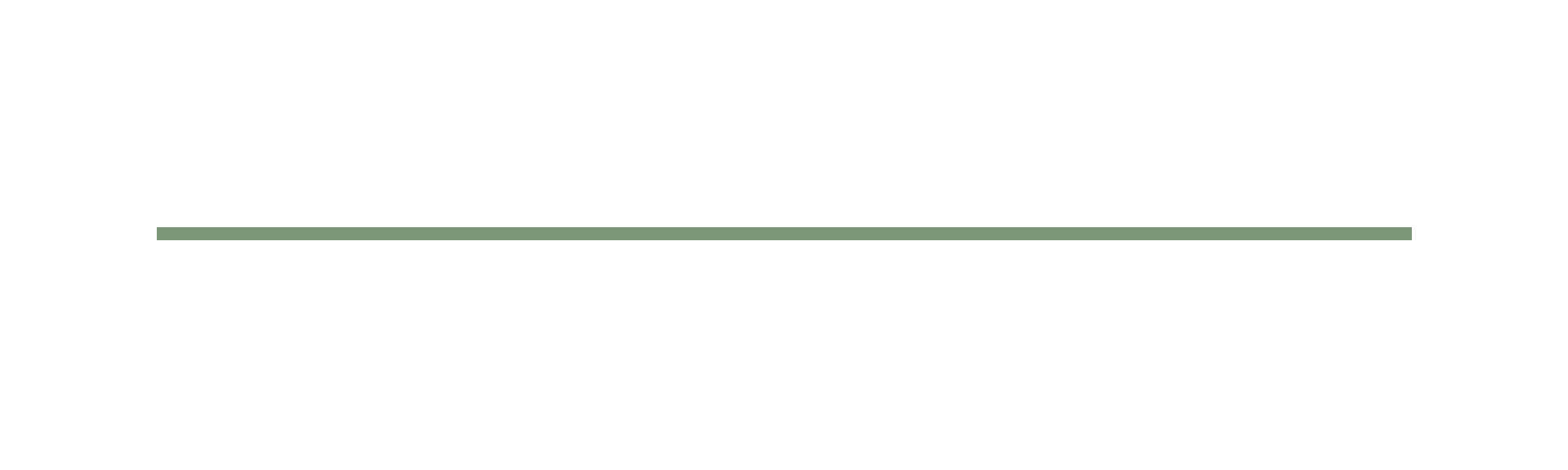 SOLVA